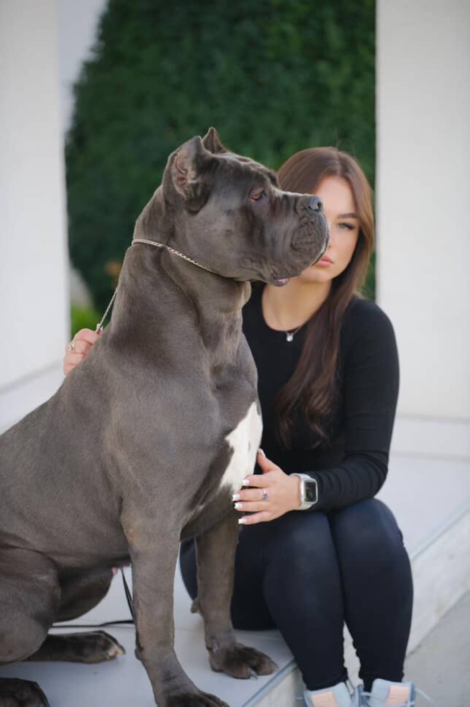 DK Breezy — Cane Corso